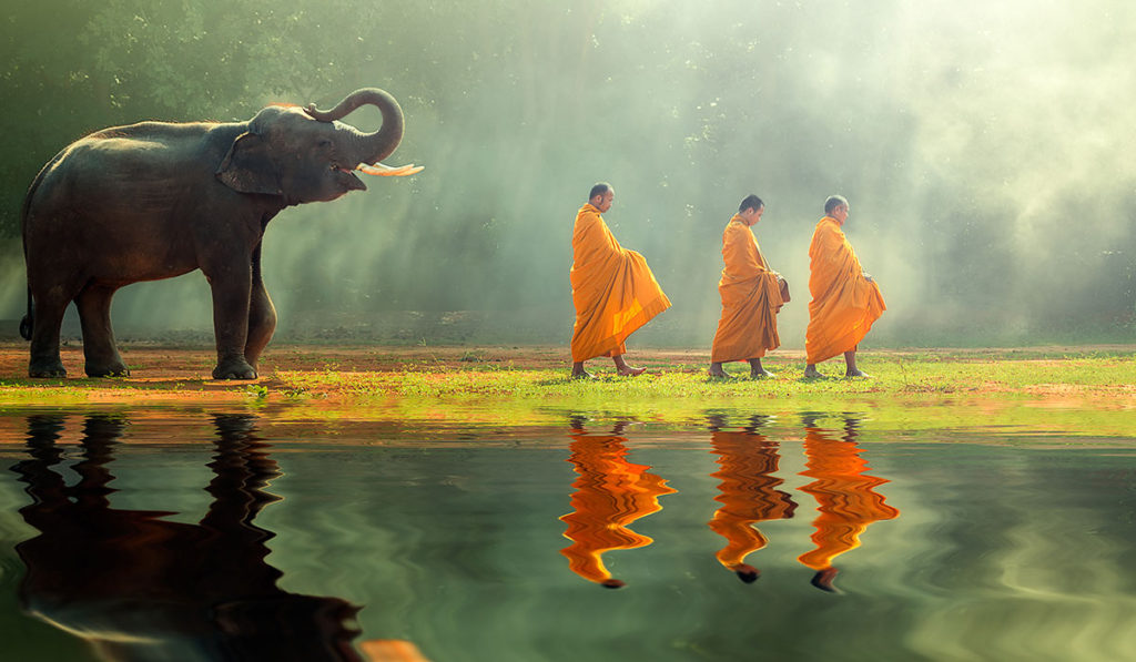 Southeast Asia - Monks with Elephant
