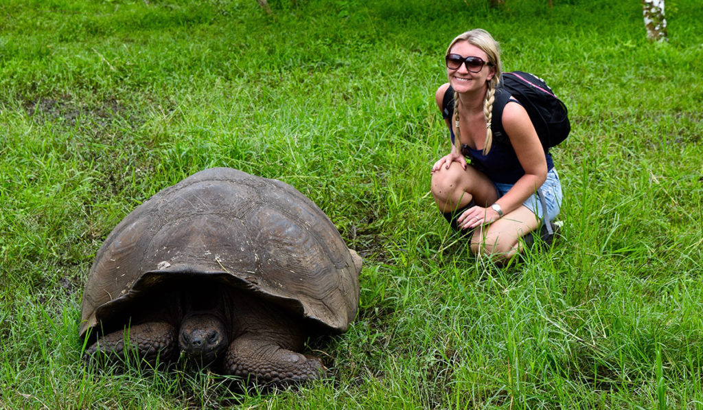 Galapagos Island Travel - Giant Tortoise