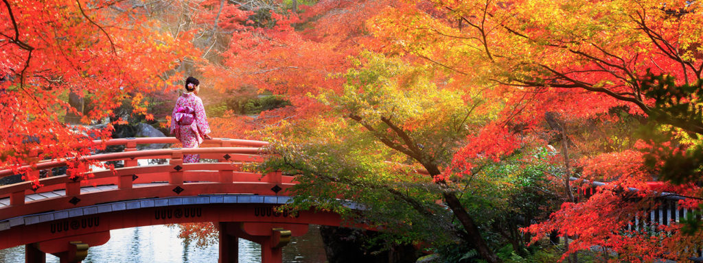 Fall Colors in Japan