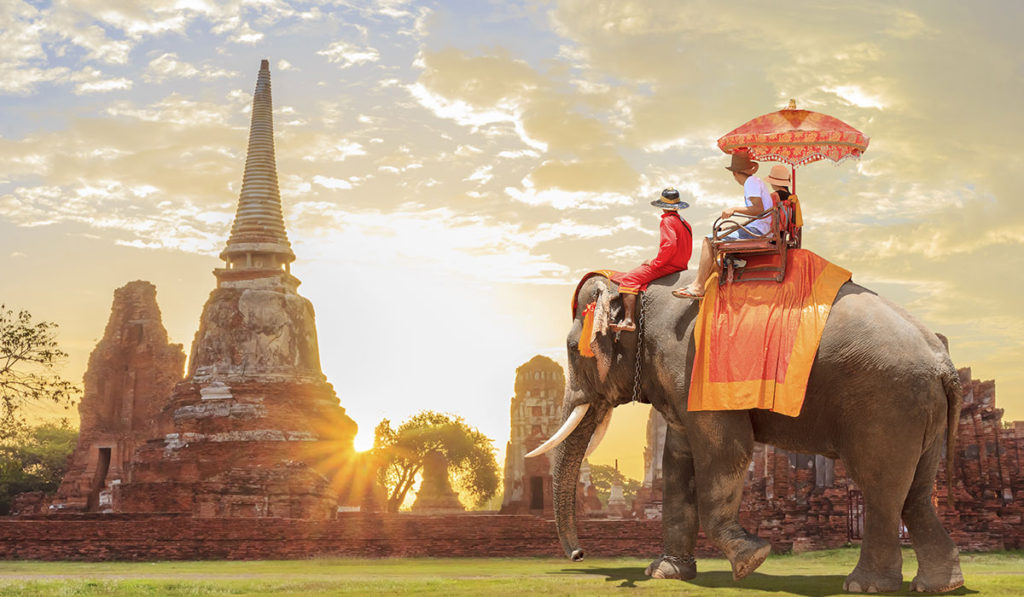 Thailand Elephant Rides
